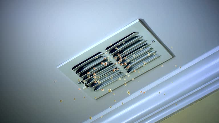 Best HVAC Duct Inspection Services  in Franklin, GA
