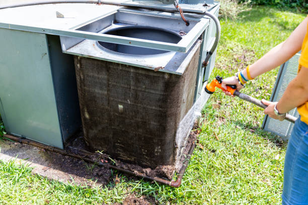 Best Air Duct Sanitizing Services  in Franklin, GA