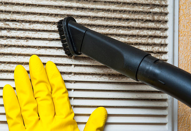 Best Professional Duct Cleaning Services  in Franklin, GA